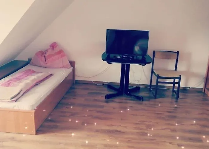 Peregrino Vendeghaz Pensiune *